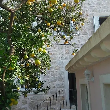 Ferienhaus Tanya - Modern 3 Bedroom House Seconds Away From The Sea Zaton (Dubrovnik-Neretva)